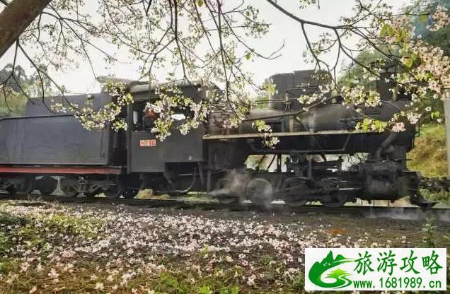 重庆周边冷门景点 重庆周边人少的景点有哪些