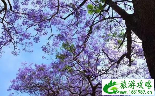 重庆周边冷门景点 重庆周边人少的景点有哪些