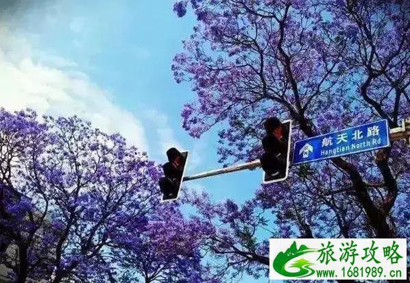 重庆周边冷门景点 重庆周边人少的景点有哪些