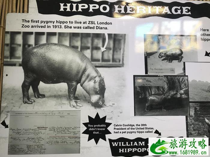 伦敦动物园开放时间 伦敦动物园几点开放