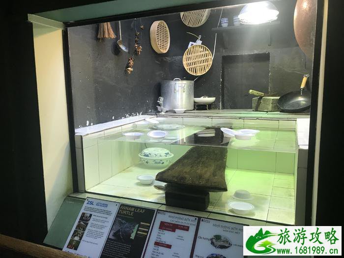 伦敦动物园开放时间 伦敦动物园几点开放