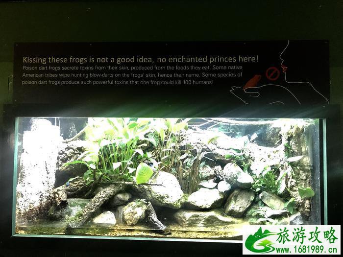 伦敦动物园开放时间 伦敦动物园几点开放