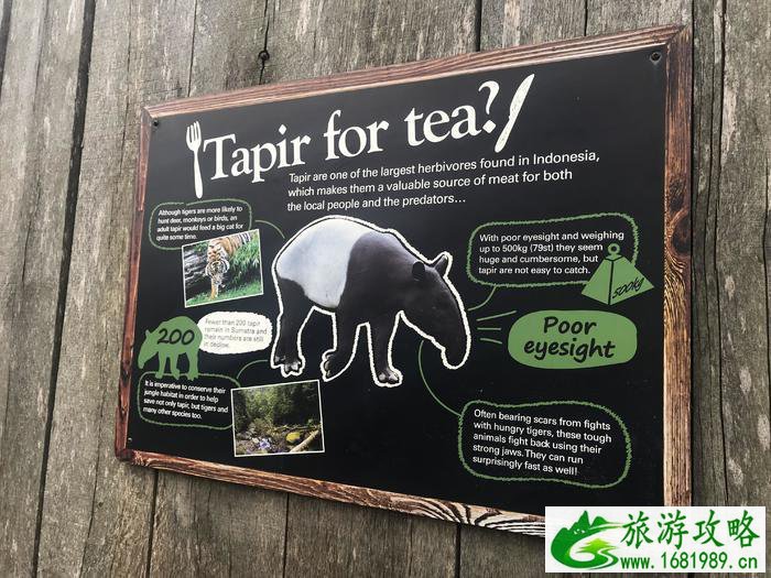 伦敦动物园开放时间 伦敦动物园几点开放