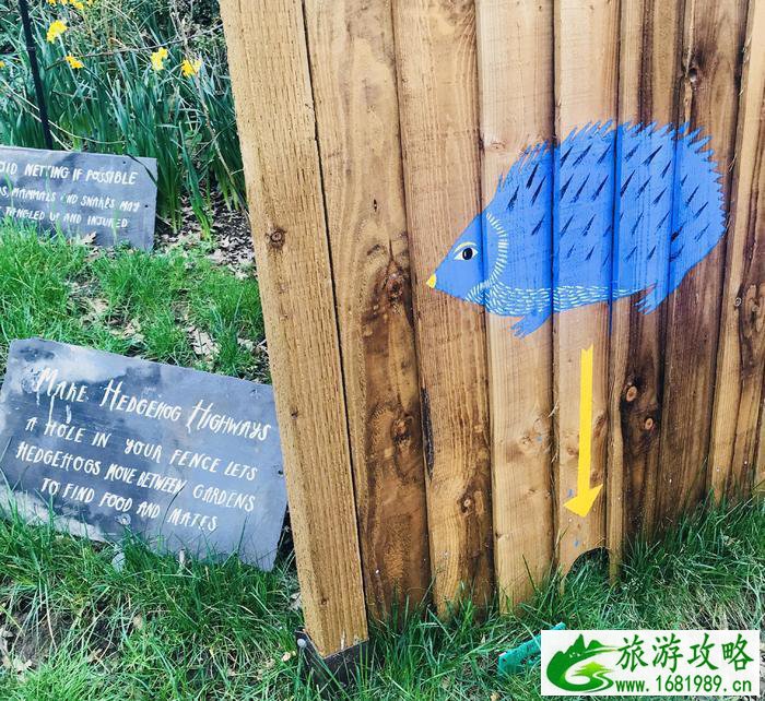 伦敦动物园开放时间 伦敦动物园几点开放