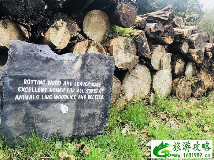 伦敦动物园开放时间 伦敦动物园几点开放