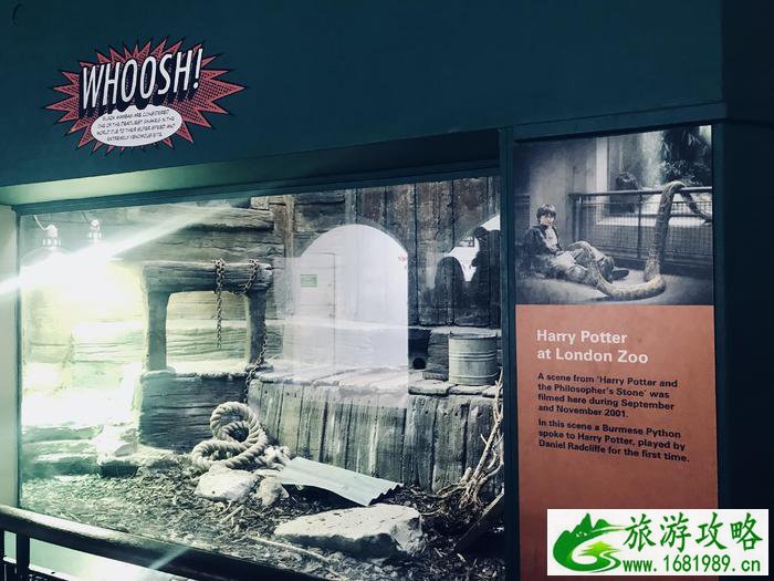 伦敦动物园开放时间 伦敦动物园几点开放