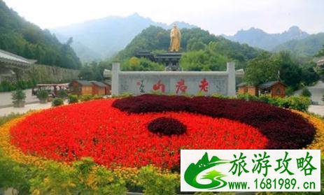 2022老君山高山花海节即将开幕 唯美花海供人观赏