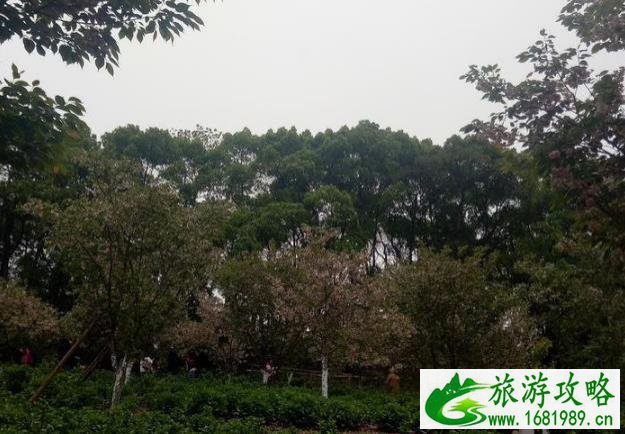 湖南省植物园门票多少钱2022+学生票优惠政策 湖南省植物园门票多少钱2022+学生票优惠政策