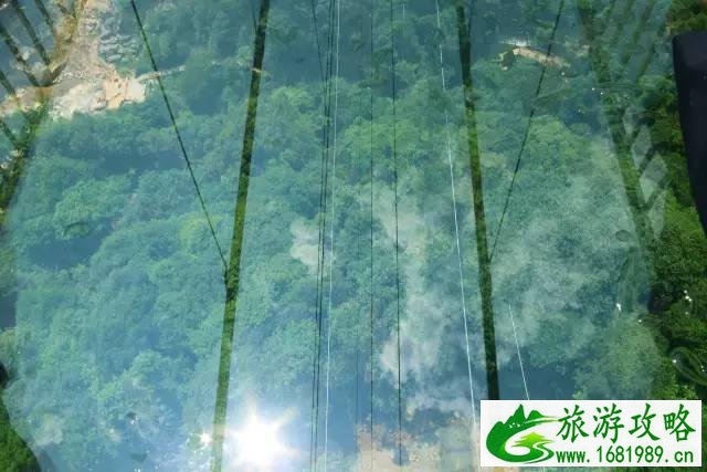 广东玻璃桥有哪些 广东玻璃桥在哪个位置