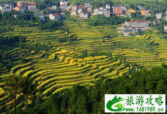 国内最有情调的地方推荐 2022国内最有情调的景点 国内最有情调的地方推荐 2022国内最有情调的景点