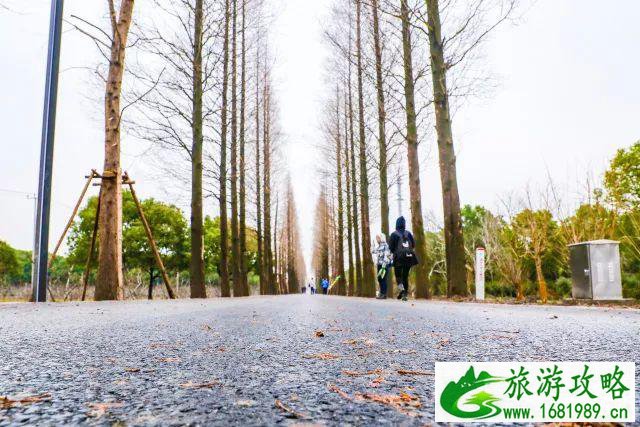 2022清明节上海去哪玩景点推荐 2022清明节上海去哪玩景点推荐