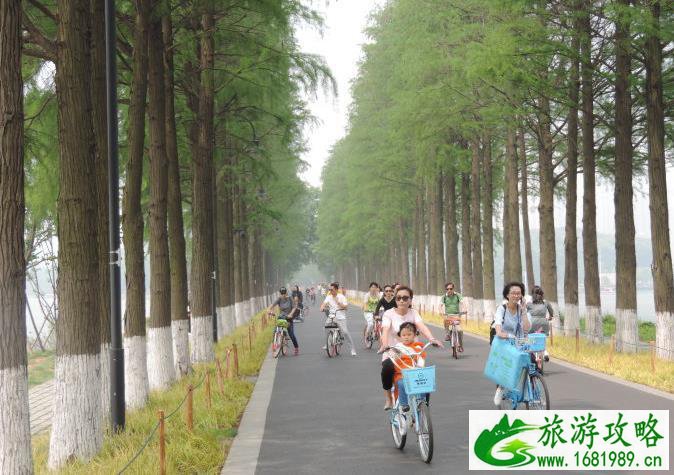 2022武汉赏花地图 武汉地铁赏花详细攻略 2022武汉赏花地图 武汉地铁赏花详细攻略