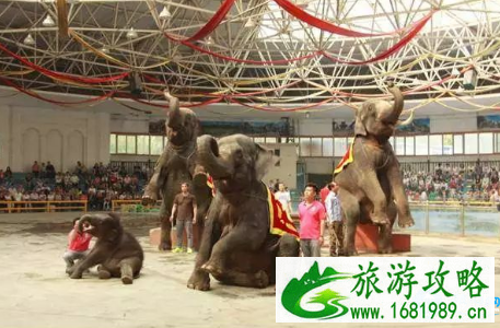 2022北京世界公园郁金香童话园林嘉年华有什么活动(时间+地点) 2022北京世界公园郁金香童话园林嘉年华有什么活动(时间+地点)