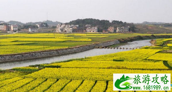 2022双峰油菜花节时间+地点+交通 2022双峰油菜花节时间+地点+交通