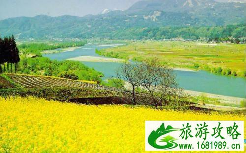 2022阳澄湖油菜花节门票+地址+交通 2022阳澄湖油菜花节门票+地址+交通