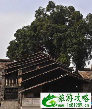 2022广东石湾陶瓷博物馆交通+开放时间+注意事项 2022广东石湾陶瓷博物馆交通+开放时间+注意事项