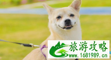 2022深圳欢乐谷清明节有什么活动 2022深圳欢乐谷清明节有什么活动