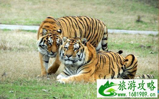 武汉动物园导游图(附高清地图) 武汉动物园导游图(附高清地图)