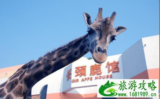 武汉动物园导游图(附高清地图) 武汉动物园导游图(附高清地图)