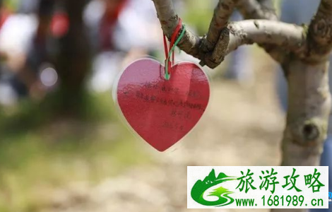 2022重庆马武千亩桃花节怎么去+路线 2022重庆马武千亩桃花节怎么去+路线