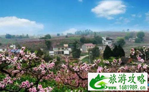 2022简阳桃花节有哪些景点 2022简阳桃花节有哪些景点