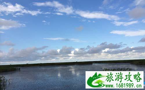 2022东滩湿地公园门票价格+优惠政策+注意事项 2022东滩湿地公园门票价格+优惠政策+注意事项
