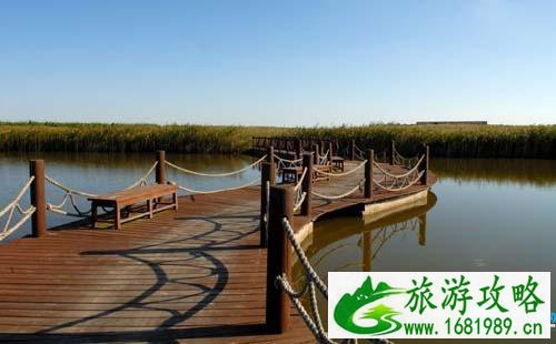 2022东滩湿地公园门票价格+优惠政策+注意事项 2022东滩湿地公园门票价格+优惠政策+注意事项