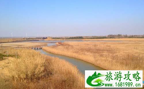 2022东滩湿地公园门票价格+优惠政策+注意事项 2022东滩湿地公园门票价格+优惠政策+注意事项