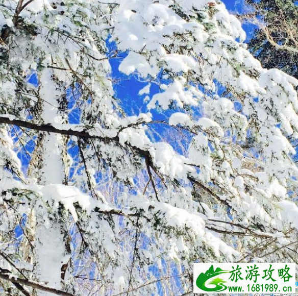 雪谷和雪乡哪个好玩 雪谷和雪乡的区别