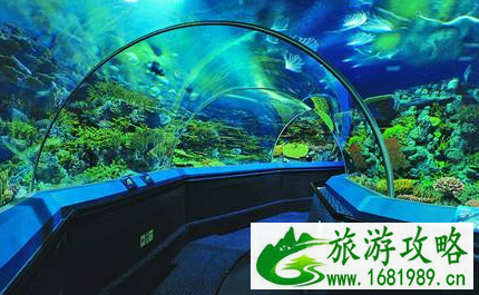 2022上海长风海洋世界门票价格+优惠政策+注意事项 2022上海长风海洋世界门票价格+优惠政策+注意事项