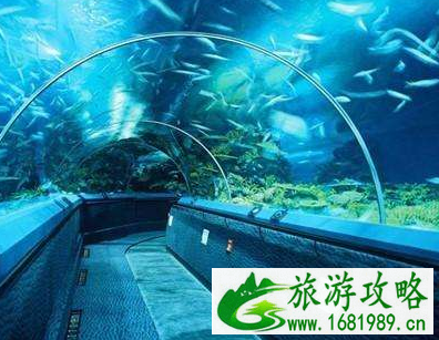 2022上海长风海洋世界门票价格+优惠政策+注意事项 2022上海长风海洋世界门票价格+优惠政策+注意事项