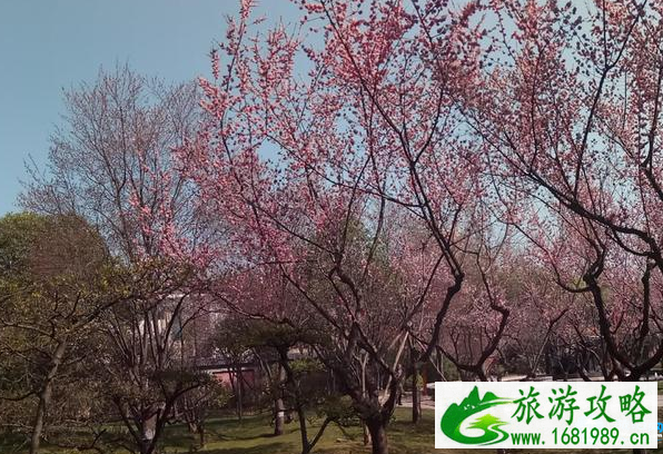 春晓园在哪里 春晓园游玩攻略 春晓园在哪里 春晓园游玩攻略