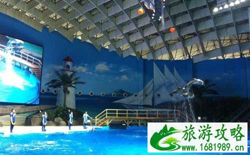 2022武汉极地海洋世界门票价格+优惠政策+注意事项 2022武汉极地海洋世界门票价格+优惠政策+注意事项