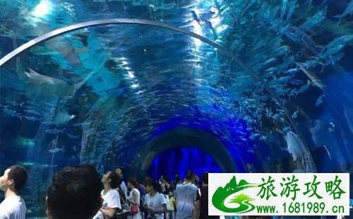 2022武汉极地海洋世界门票价格+优惠政策+注意事项 2022武汉极地海洋世界门票价格+优惠政策+注意事项
