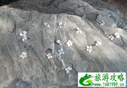 春晓园在哪里 春晓园游玩攻略 春晓园在哪里 春晓园游玩攻略