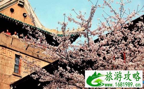 2022武大赏樱预约注意事项有哪些+参观及入场须知 2022武大赏樱预约注意事项有哪些+参观及入场须知