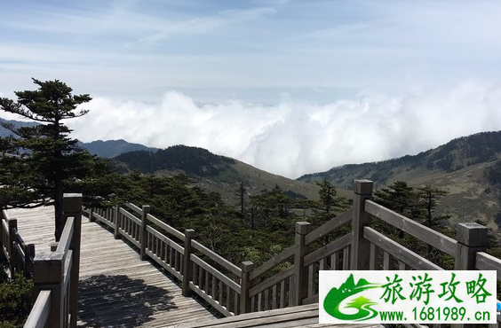 2022三八妇女节神农架门票免费优惠活动 2022三八妇女节神农架门票免费优惠活动