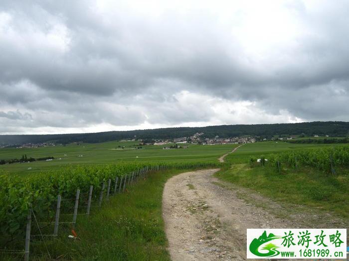 法国旅游有什么好吃的东西推荐 法国旅游有什么好吃的东西推荐