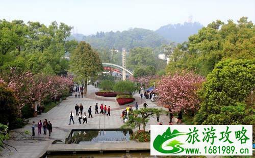 2022重庆南山植物园门票价格+优惠政策+官网 2022重庆南山植物园门票价格+优惠政策+官网