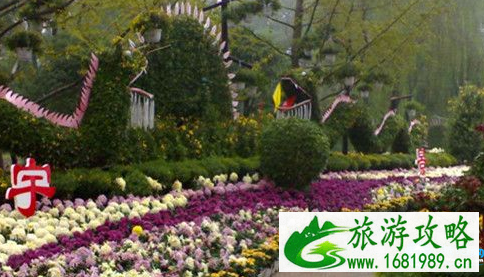2022重庆南山植物园门票价格+优惠政策+官网 2022重庆南山植物园门票价格+优惠政策+官网