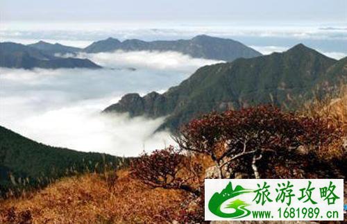 武汉旅游年卡2022(景点名单+办理地址+使用方法) 武汉旅游年卡2022(景点名单+办理地址+使用方法)