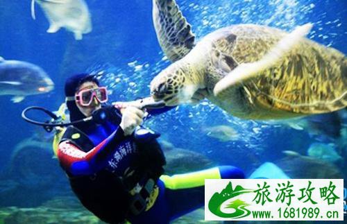 武汉旅游年卡2022(景点名单+办理地址+使用方法) 武汉旅游年卡2022(景点名单+办理地址+使用方法)