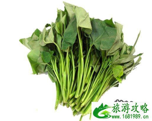 红薯叶的功效与作用及禁忌+药用价值 红薯叶的功效与作用及禁忌+药用价值