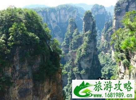 袁家界停车场收费吗 袁家界停车场在哪里 袁家界停车场收费吗 袁家界停车场在哪里