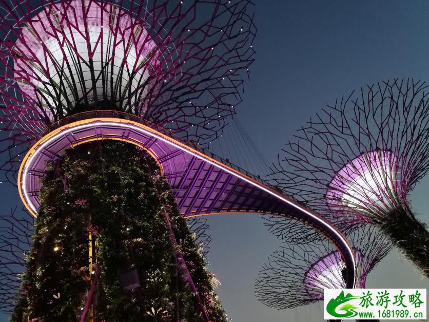 2022新加坡自由行旅游攻略 2022新加坡自由行旅游攻略