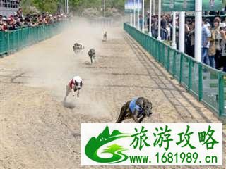 2022陕西旅游年票有哪些江苏省景点 66家景区名单+联系方式 2022陕西旅游年票有哪些江苏省景点 66家景区名单+联系方式