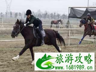 2022陕西旅游年票包含四川省哪些景点 景区名单+联系电话 2022陕西旅游年票包含四川省哪些景点 景区名单+联系电话
