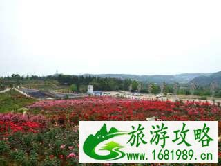 2022陕西旅游年票包含四川省哪些景点 景区名单+联系电话 2022陕西旅游年票包含四川省哪些景点 景区名单+联系电话