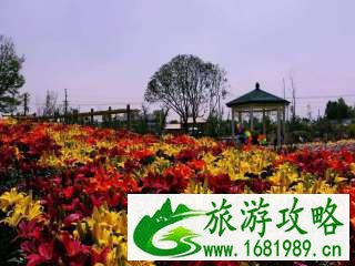 2022陕西旅游年票包含四川省哪些景点 景区名单+联系电话 2022陕西旅游年票包含四川省哪些景点 景区名单+联系电话