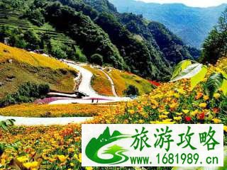 2022陕西旅游年票包含四川省哪些景点 景区名单+联系电话 2022陕西旅游年票包含四川省哪些景点 景区名单+联系电话
